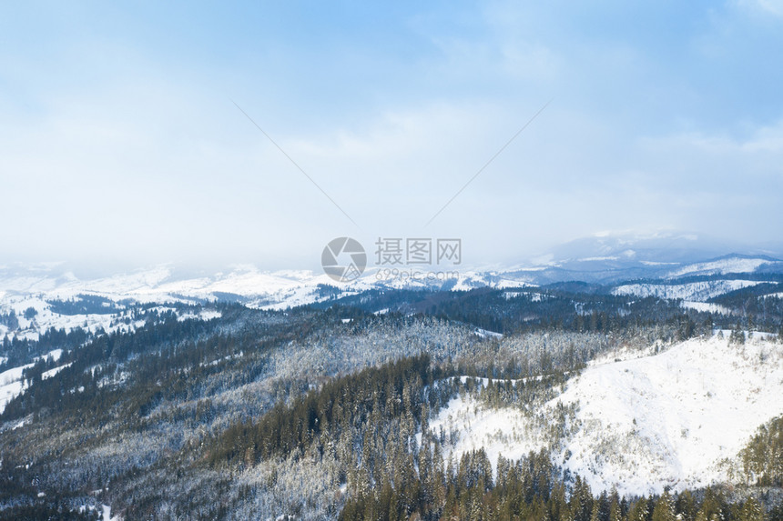 冬季森林和道路的空中景象图片