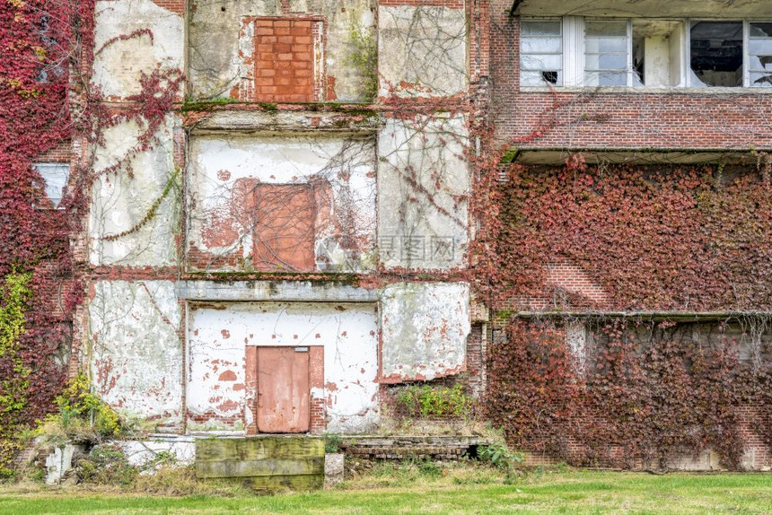 荒废的旧砖楼外表由藤树秋幕城市衰变的概念图片