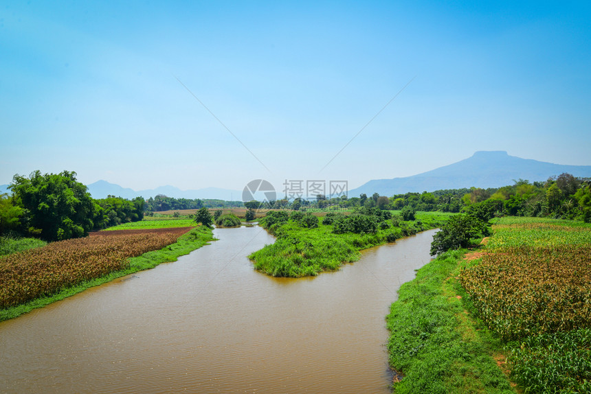 在河岸种植绿色玉米田的河流景观农业并有山丘和地背景图片