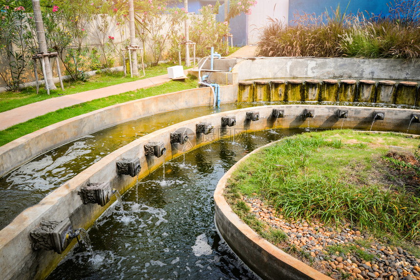 花园中美丽的水池典型鱼圆形设计有氧气喷泉流图片