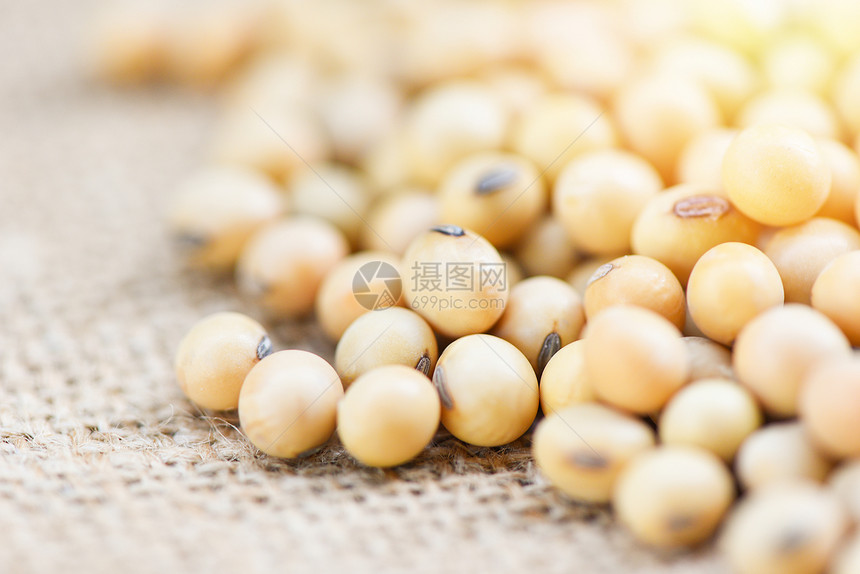 麻袋背景农产品干豆选择重点图片