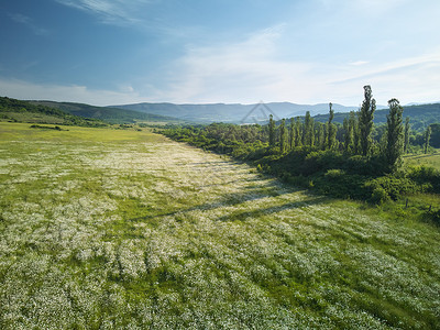 草地自然景观图片