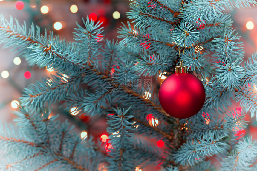 红色圣诞装饰品挂在真正的松树枝上以古时的灯光照亮图片