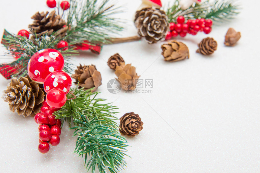 圣诞成份火树枝白色背景的红装饰图片