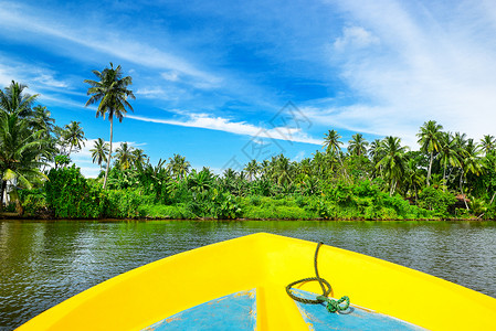 热带河乘摩托艇到有雨林的光景海岸旅行背景
