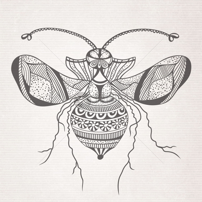 矢量抽象卡通装饰昆虫蝴蝶草图图片