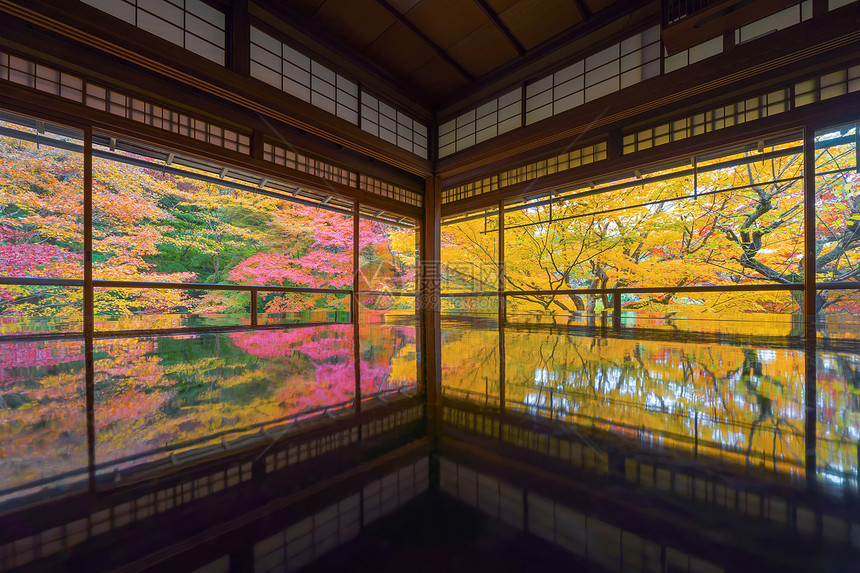 RorikoinTemple的内地秋季有多彩的木叶或落有色树京都日本自然景观背反省图片