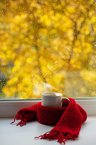 咖啡和围巾秋天生命温暖的围巾和茶杯靠近窗户复制空间背景