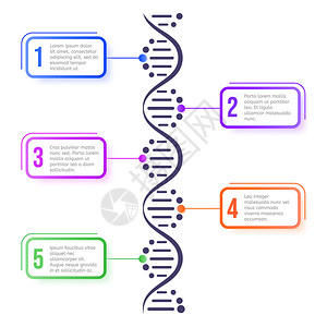 DNA分子概念抽象图表分子螺旋体结构科学计划生物遗传染色体矢量系统信息学概念演示设计元素海报模板分子螺旋体结构科学计划演示布局设背景图片