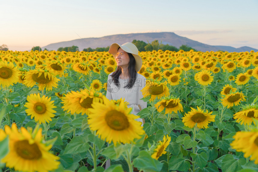 在泰国Lopburi自然花园公的节假日外出旅行中快乐的亚洲女在盛开的向日葵田中享受和放松图片