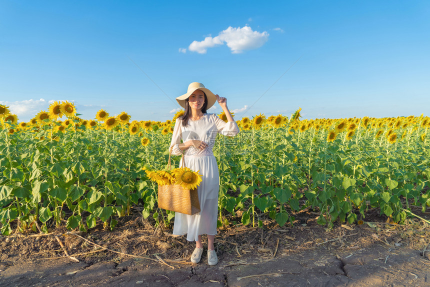 在泰国Lopburi自然花园公的节假日外出旅行中快乐的亚洲女在盛开的向日葵田中享受和放松图片