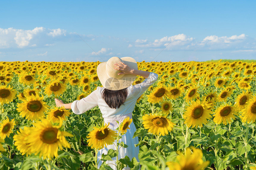 在泰国Lopburi自然花园公的节假日外出旅行中快乐的亚洲女在盛开的向日葵田中享受和放松图片