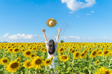 在泰国Lopburi自然花园公的节假日外出旅行中快乐的亚洲女在盛开的向日葵田中享受和放松背景图片