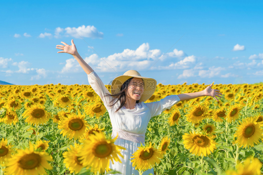 在泰国Lopburi自然花园公的节假日外出旅行中快乐的亚洲女在盛开的向日葵田中享受和放松图片