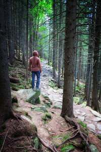 一个人走在荒野森林中图片