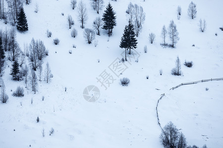 冬季山丘景观和树木最小图片