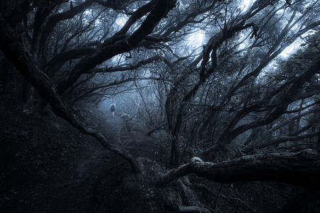 男人行走在黑暗的雾林中图片