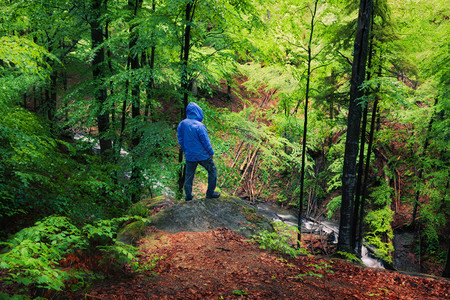人站在石头上青绿明亮的夏日雨林中图片