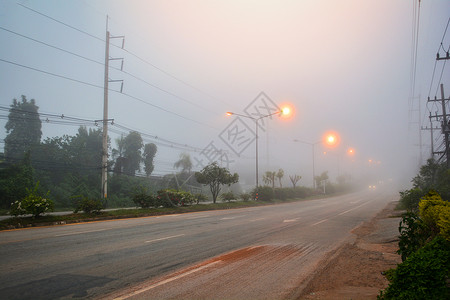 清晨薄雾中的道路与灯光图片