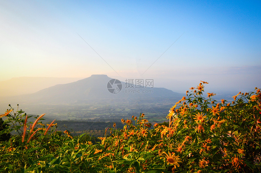 泰国美丽的山坡风景图片