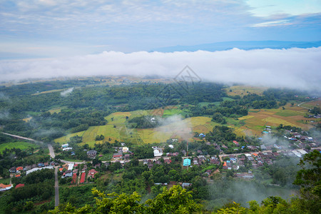 清晨有雾覆盖的泰国村庄图片