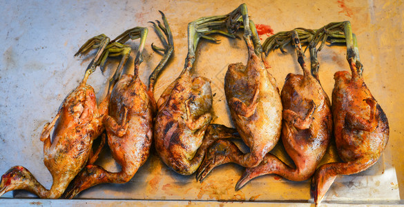 原生肉鸟白乳制水和死在农场的鸭子用于烹饪食物图片