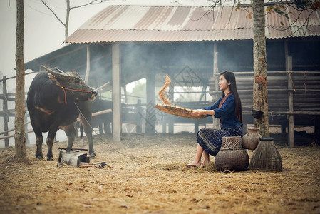 亚洲妇女赢得大米美丽的年轻女孩肖像在乡村农庄后图片