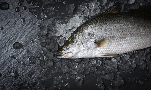 在餐馆深底暗的冰洋古尔米顿上烹饪生海贝鱼的新鲜原始图片