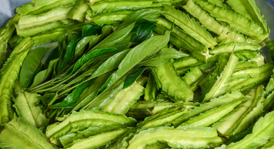 新鲜绿翅膀豆蔬菜背景其他名称果阿豆四角Psophopcarpus四角面包背景图片