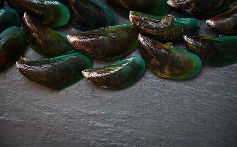 海产食品餐厅深底的新鲜绿贝壳类图片