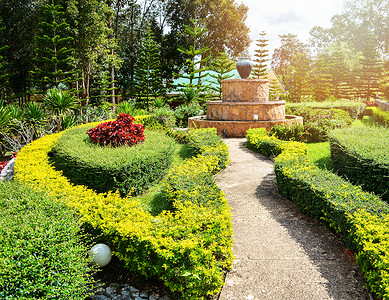 美丽的花园步行道装饰着植物和喷泉春夏公园图片