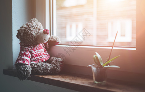 可爱的泰迪熊坐在窗台上望外阳光照耀图片