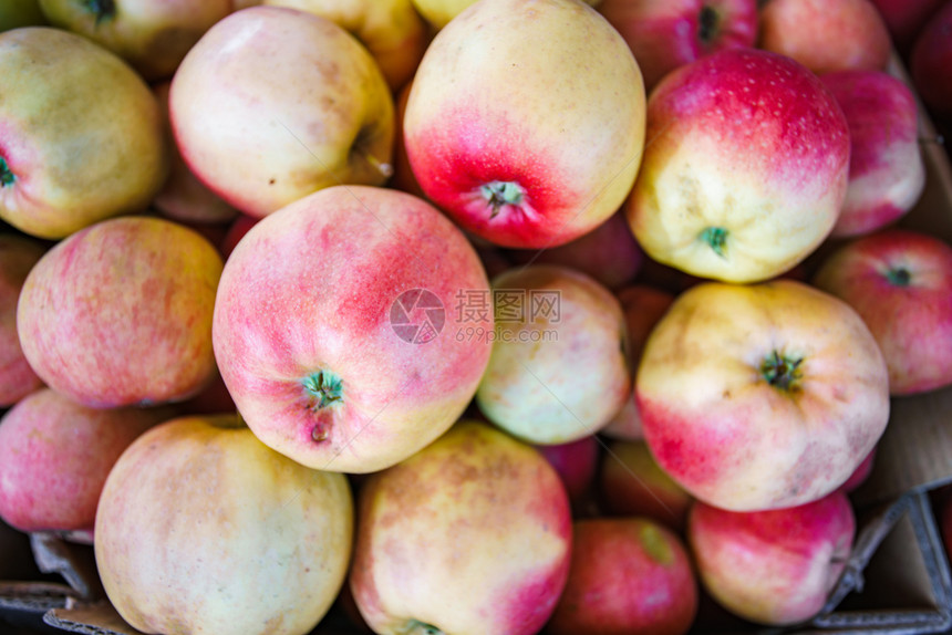 红苹果背景新鲜采摘的美味水果图片