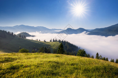 山上美丽的雾景色阳光照耀的美好早晨图片