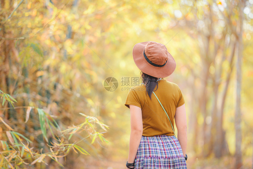 秋天时尚概念亚洲女孩在公园背景的秋树林中行走图片