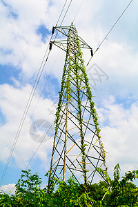 高压电杆传输塔云上有植物和树云上有电杆传输塔背景图片