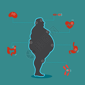 可放大不影响肥胖对健康和人体内脏器官的影响插画