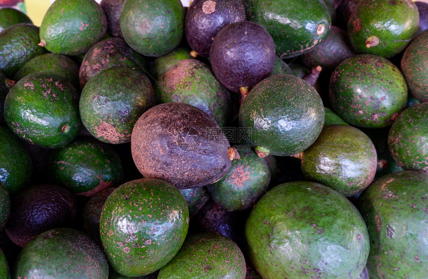 Avocado热带有机水果在市场上的鲜背景Avocado热带有机果类图片