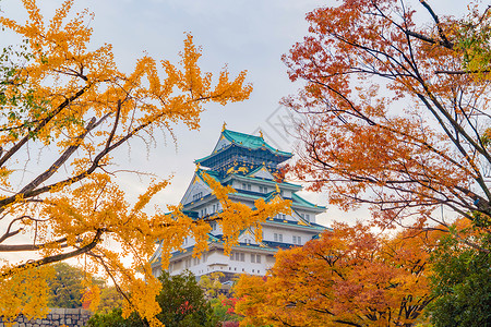 大阪城堡建筑秋季有多彩的木叶或落多彩的树木京都市关西日本建筑景观背著名的旅游点背景图片