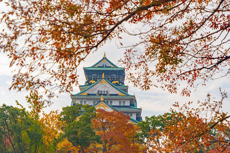 大阪城堡建筑秋季有多彩的木叶或落多彩的树木京都市关西日本建筑景观背著名的旅游点背景图片
