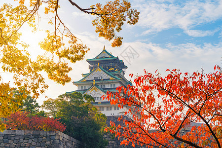 城堡公园大阪城堡建筑秋季有多彩的木叶或落多彩的树木京都市关西日本建筑景观背著名的旅游点背景