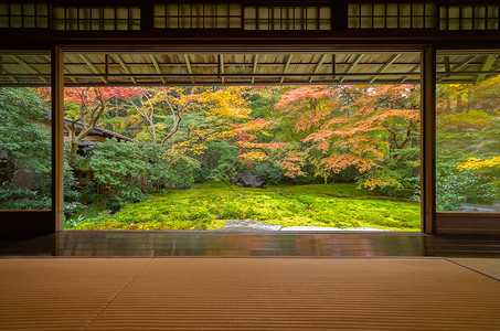 在秋季树林多彩京都关西日本自然景观背背景图片