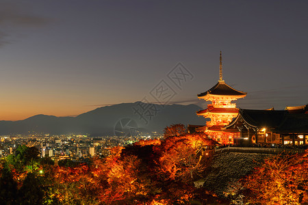 秋季有红木叶或落的有色树京都日本自然和建筑景观背高清图片