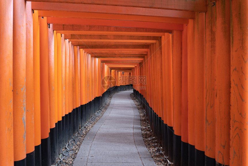 FushimiInariTaisha寺庙空间在日本京都户外旅行假期概念寺庙的红杆神殿走道隧建筑结构背景图片