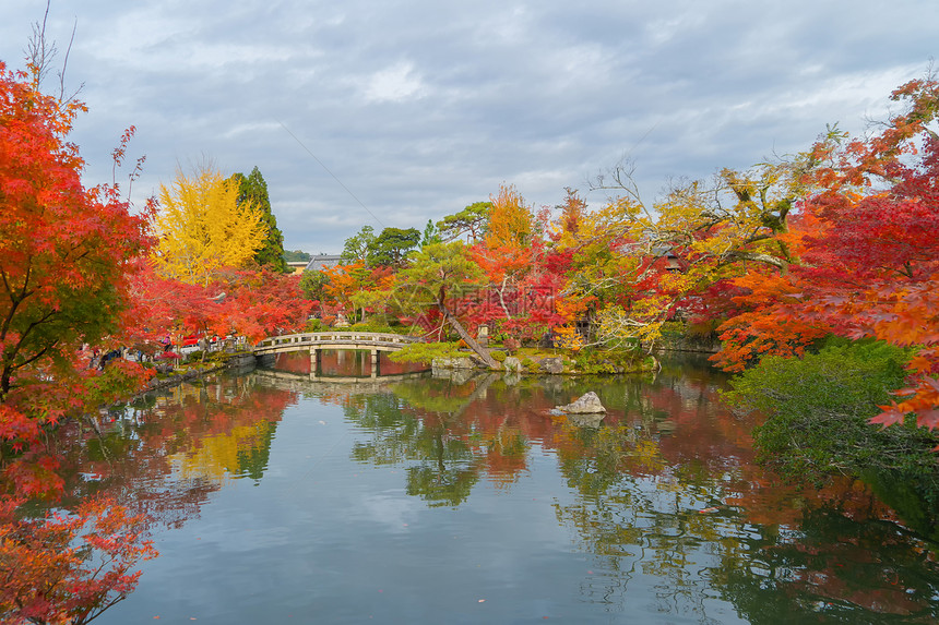 EikandoZenrinji寺庙有红色的树叶或秋天多彩的树木京都日本自然景观背图片