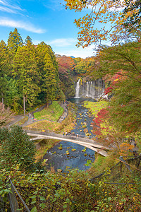 河口子白丝瀑布秋天叶或落在山桥藤川口附近蓝天的日本多姿彩树木自然景观背背景