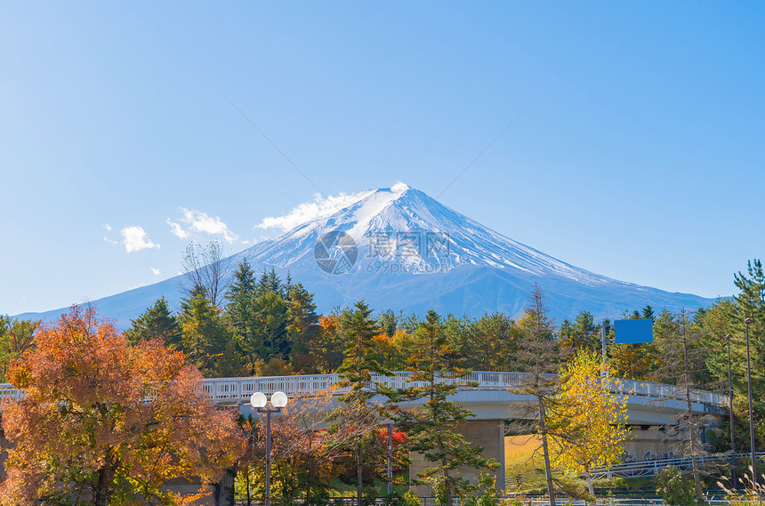 富士山上有红色的木叶或秋天多彩的季在亚马纳西藤川口子附近五个湖泊日本有蓝天的树木自然景观背图片