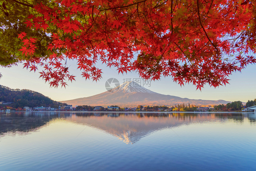 富士山上有红色的木叶或秋天多彩的季在亚马纳西藤川口子附近五个湖泊日本有蓝天的树木自然景观背图片