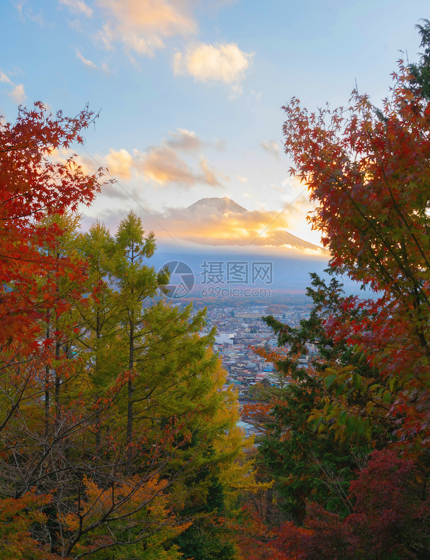富士山上有红色的木叶或秋天多彩的季在亚马纳西藤川口子附近五个湖泊日本有蓝天的树木自然景观背图片