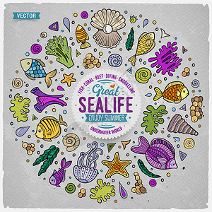 彩色海洋元素海生动植物元素涂鸦风格插画图片